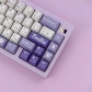 GMK Frost Witch 104+25 PBT Dye-subbed Keycaps Set Cherry Profile for MX Switches Mechanical Gaming Keyboard